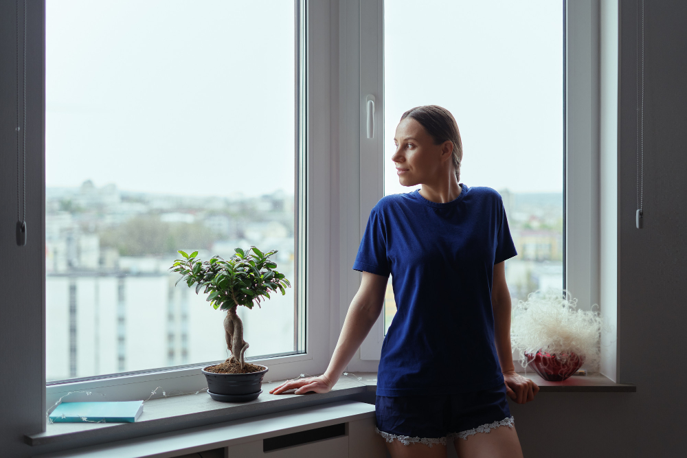 Parkcity Window Styles